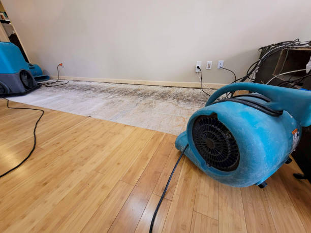 Professional Flood Damage Cleanup technician working in Winston, GA